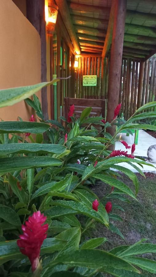 Casa Paula Villa บาร์ฮากรังจิ ภายนอก รูปภาพ